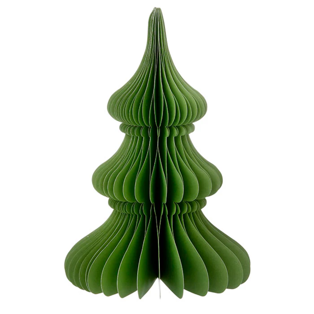 Evergreen Paper Tree